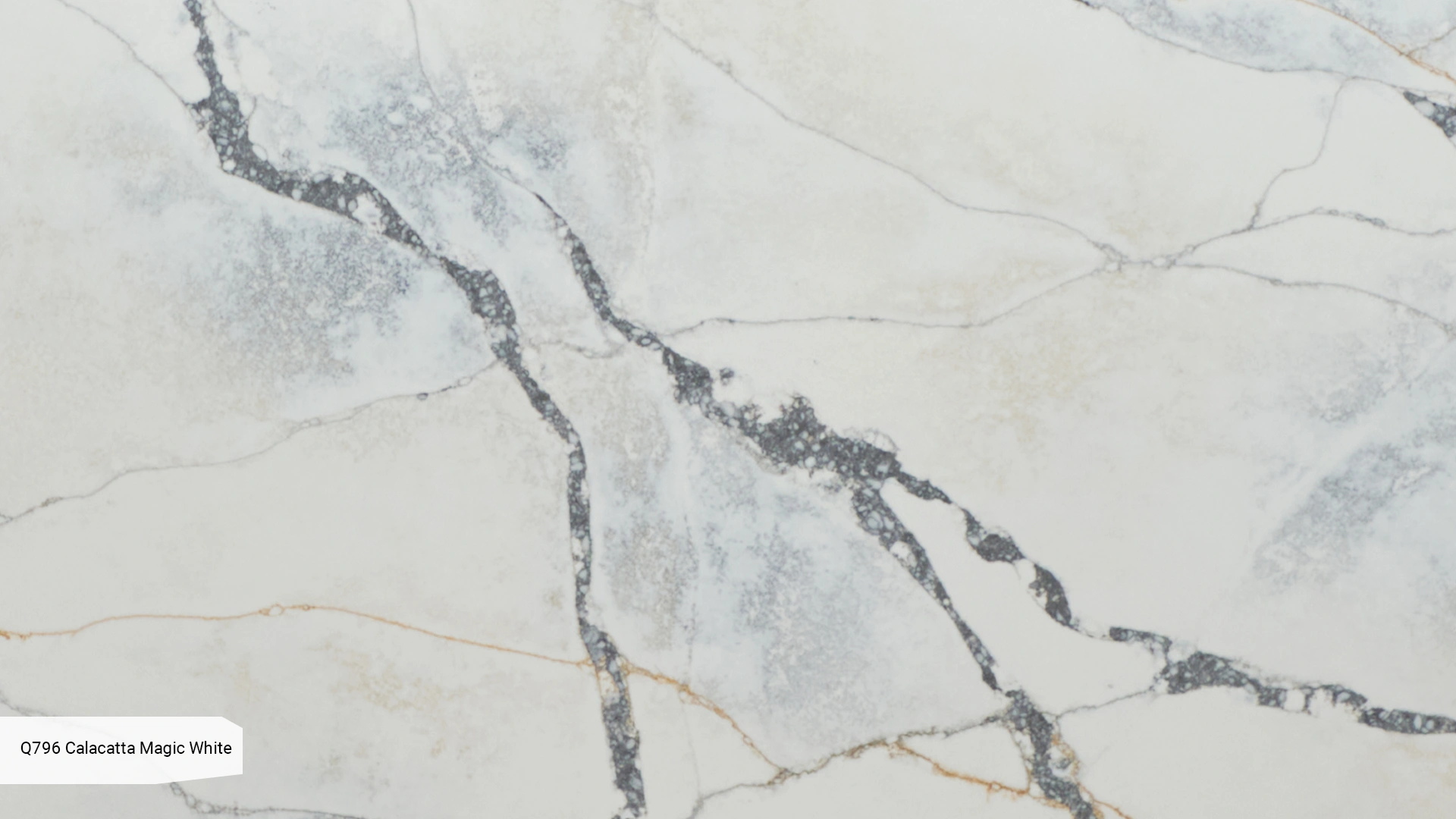 Q796 Calacatta Magic White